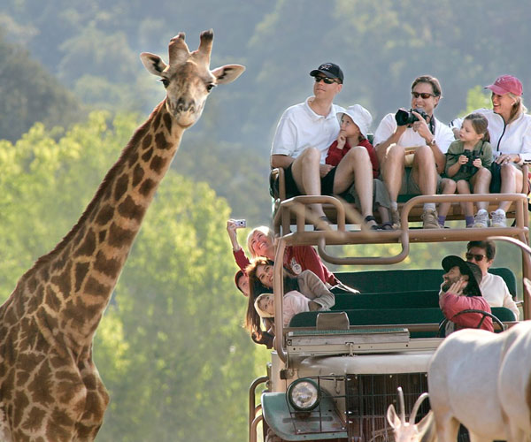 family-safari